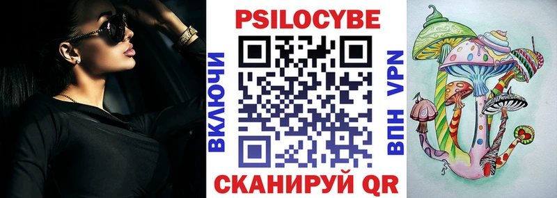 продажа наркотиков  Судогда  Галлюциногенные грибы GOLDEN TEACHER 